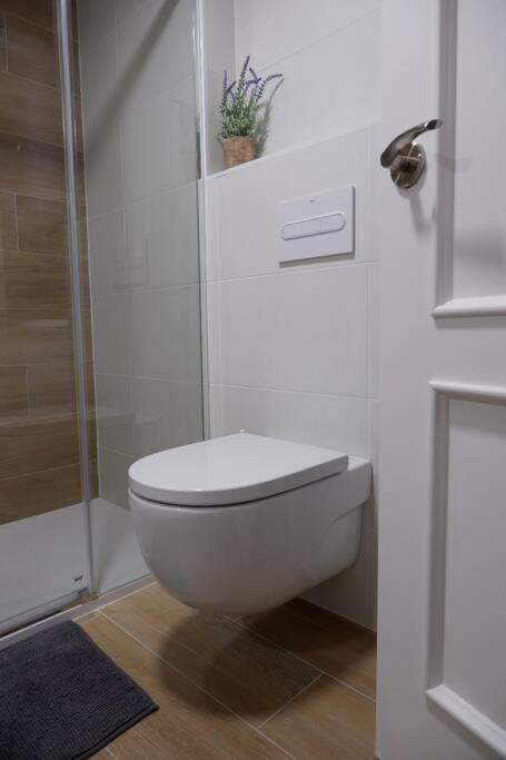 Amplio Apartamento Con Piscina Al Lado De La Playa 플라티야 다로 외부 사진
